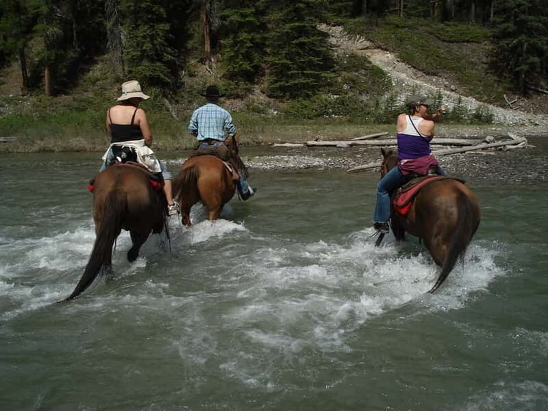 Marmaris: Horse Riding & Safari with Hotel Transfer - The Itinerary: What to Expect on Your Horse Safari