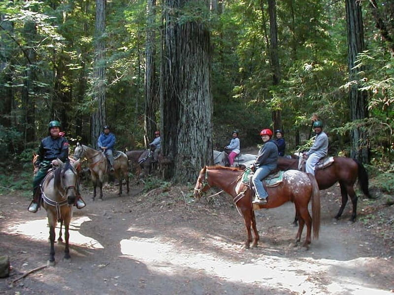 Marmaris: Horse Riding & Safari with Hotel Transfer - Frequently Asked Questions