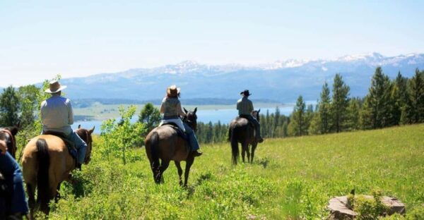 Marmaris Horse Safari - Frequently Asked Questions