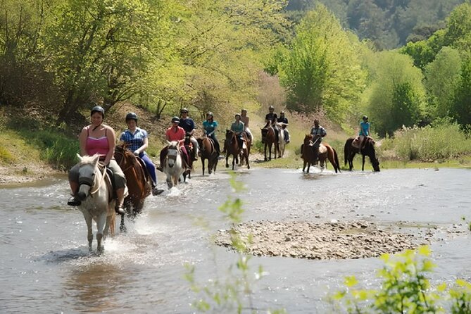 Marmaris Horse Safari - Good To Know