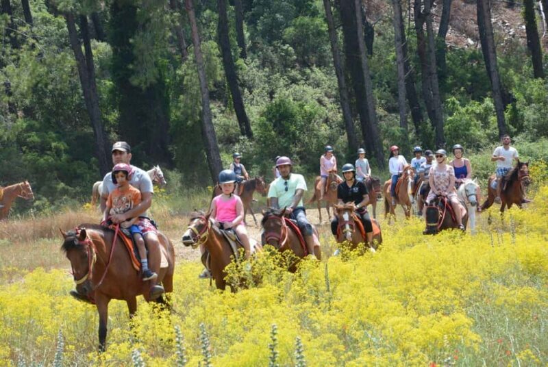 Marmaris: Horseback Riding in the Forest w/Hotel Pickup - Good To Know