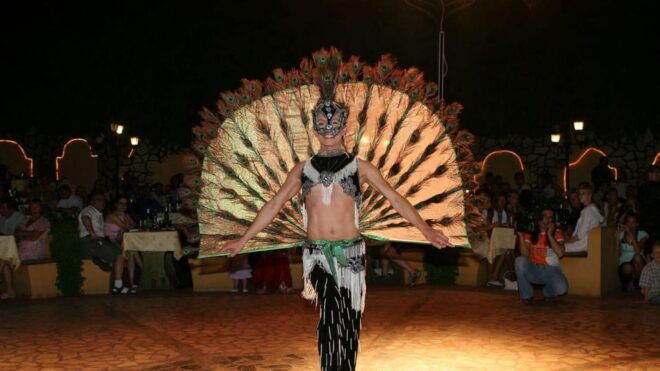 Marmaris: Live Turkish Night Experience - Drinks and Refreshments