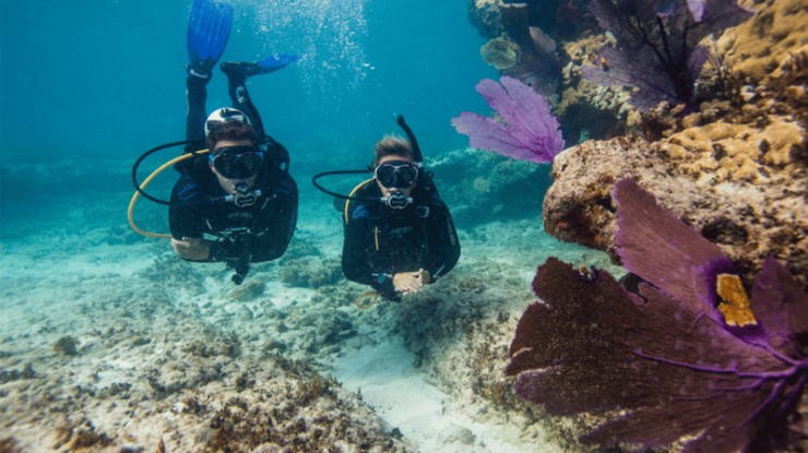 Marmaris: Scuba Diving Experience - Pricing Details