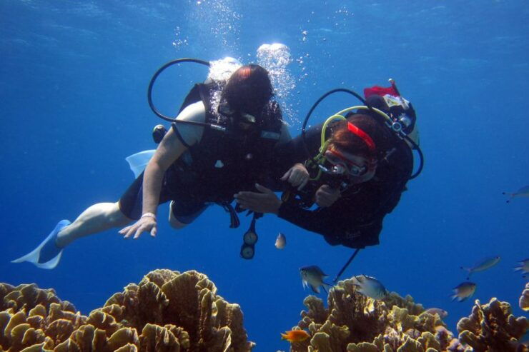 Marmaris: Scuba Diving Experience With 2 Dives and Lunch - Activity Overview