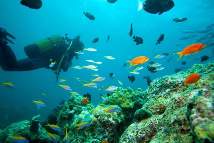Marmaris: Scuba Diving With a Qualified Instructor - Booking Process