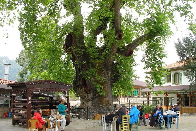 Marmaris Village Tour With Waterfalls & Visit Jesus Beach - Exploring Marmaris Village: A Hidden Gem
