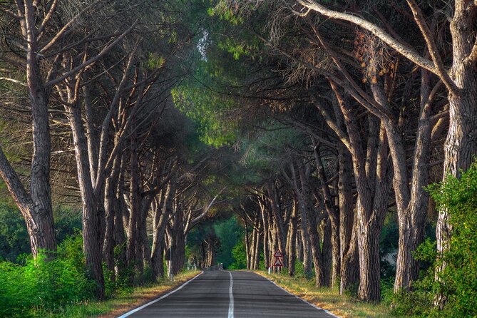 Marmaris Yuvarlakcay Tour With Lunch and Akyaka River Cruise - The Sum Up