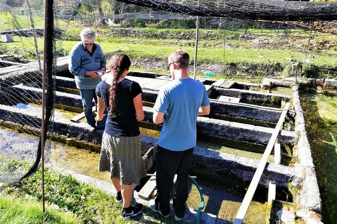 Marmore Falls Day Trip From Rome - Common Questions