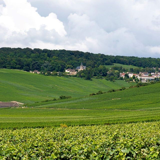Marne: 2-Day Champagne Tour With Tastings and Lunches - Tour Duration and Guide Information