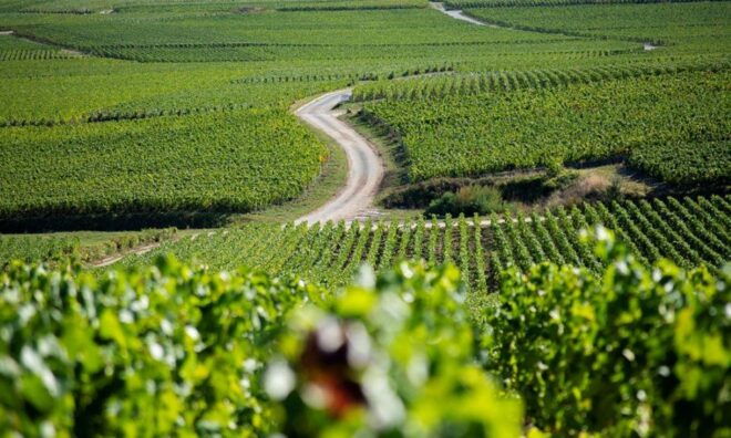 Marne: 2-Day Champagne Tour With Tastings and Lunches - Location Details and Exploration