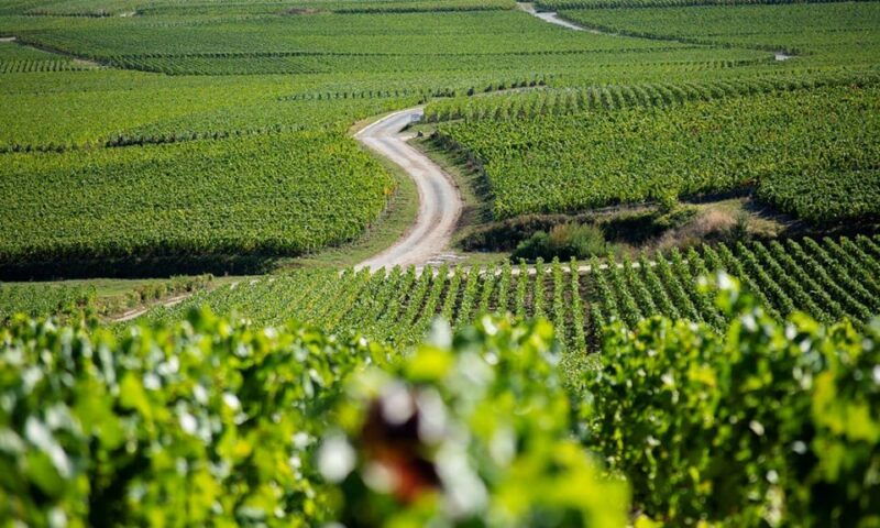 Marne: Champagne Region Private Day Tour With Lunch - Itinerary Breakdown