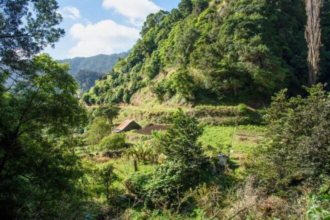 Maroços Madeira Island Levada Walk - Highlights of the Experience