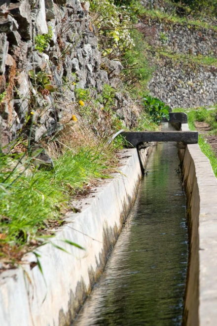 Maroços Madeira Island Levada Walk - Guided Tour Features