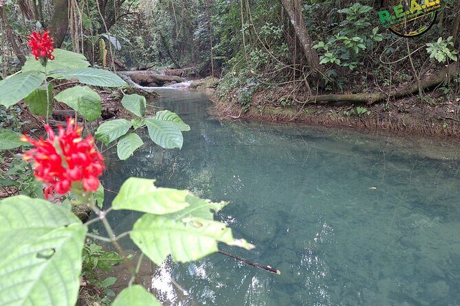 Maroon and Waterfall Adventure from Treasure Beach Jamaica - Authentic Experiences Mentioned by Reviewers