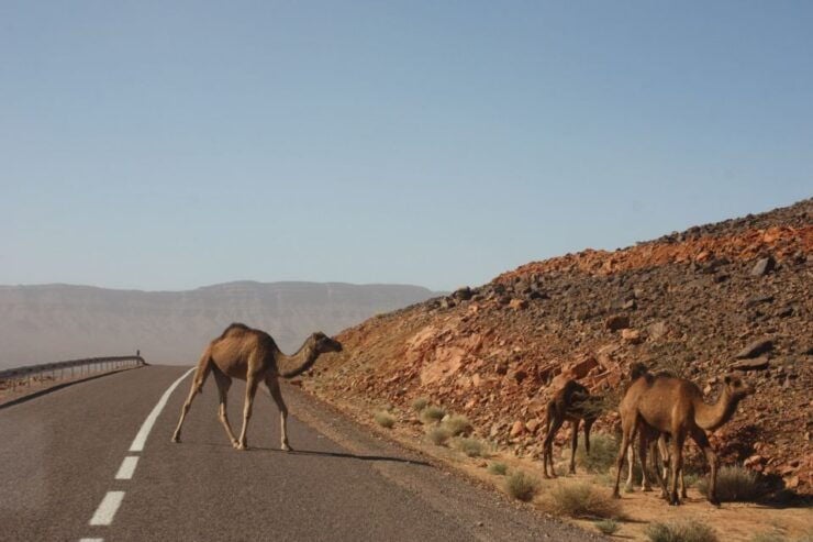 Marrakech: 2 Day Zagora Desert Tour by Ait Ben Haddou Kasbah - Key Highlights