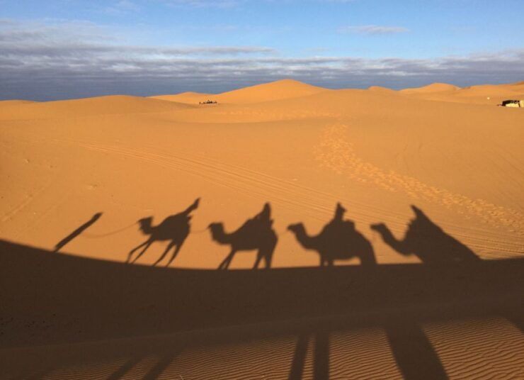 Marrakech: 3 Day Desert Trip to Fes - Detailed Itinerary for Each Day
