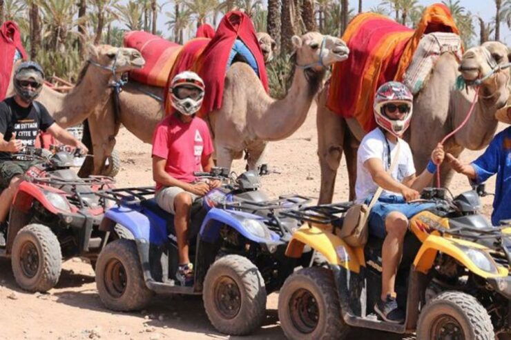 Marrakech 3-Hour Quad Bike & Camel Ride in Palmeraie - Experience Highlights