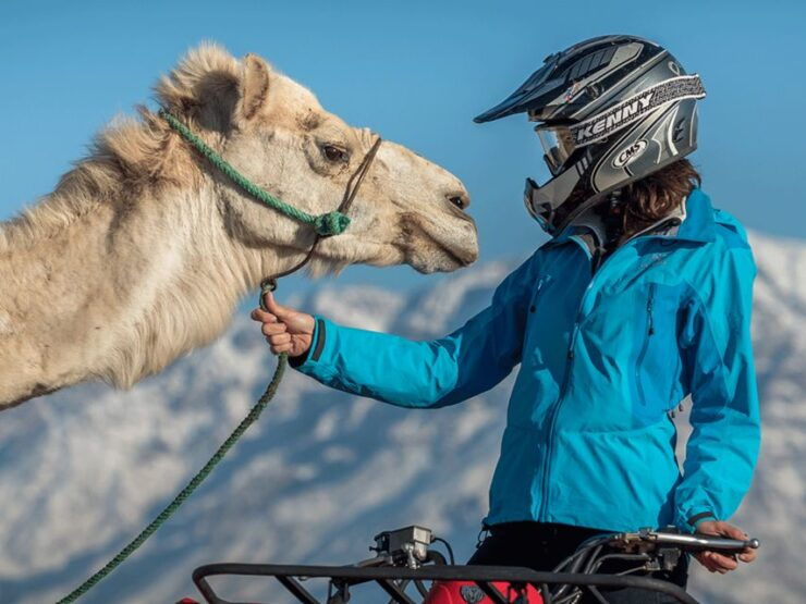 Marrakech 3 Hours Camel Ride & Quad Bike In Palmeraie - Booking Information