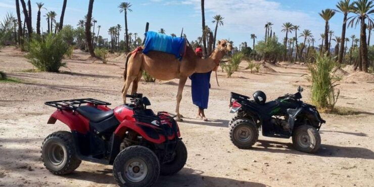 Marrakech 3 Hours Camel Ride & Quad Bike In Palmeraie - Experience Highlights