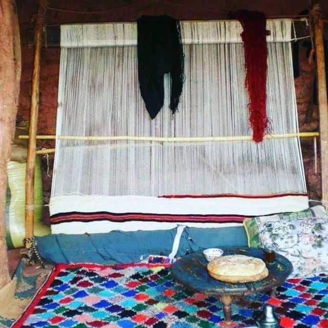 Marrakech: 5 Valleys & High Atlas Mountains Private Day Tour - Highlights