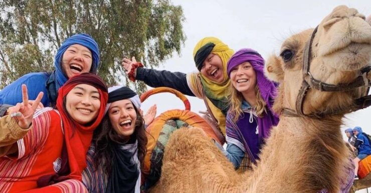 Marrakech: Agafay Desert, Atlas Mountains & Waterfalls Tour - Activity Details