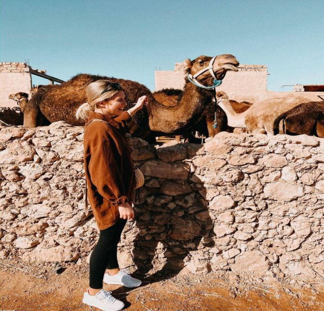 Marrakech: Agafay Desert Evening Trip Under the Stars - Booking Details