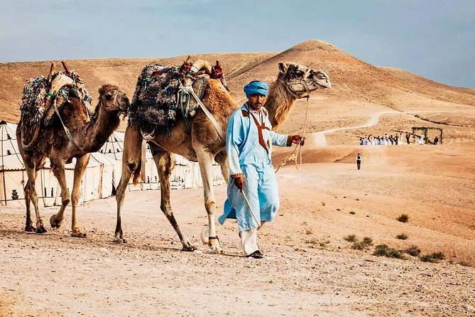 Marrakech: Agafay Desert, Magical Dinner & Sunset and Camel Ride - Common Questions
