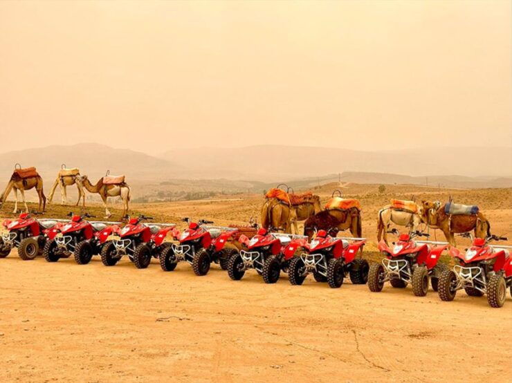 Marrakech: Agafay Desert Off-Road Quad Bike Tour - Booking Details