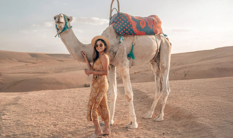 Marrakech Agafay Desert Sunset Camel Ride & Dinner - Who should book this Agafay trip?