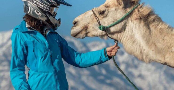 Marrakech: Agafay Desert Tour With Quad, Camel Ride & Dinner - Experience Highlights