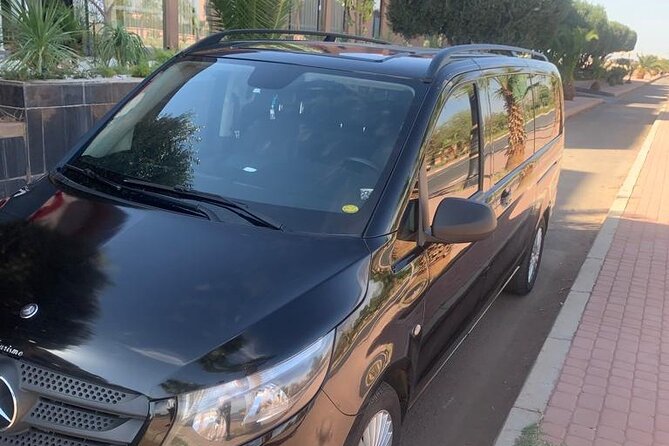 Marrakech Airport Transfer - Infant and Animal Accommodations