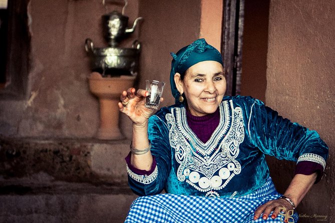 Marrakech Atlas Day Trip - Overview and Itinerary