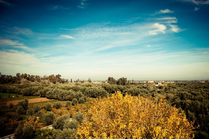 Marrakech Atlas Day Trip - Spectacular Scenic Views