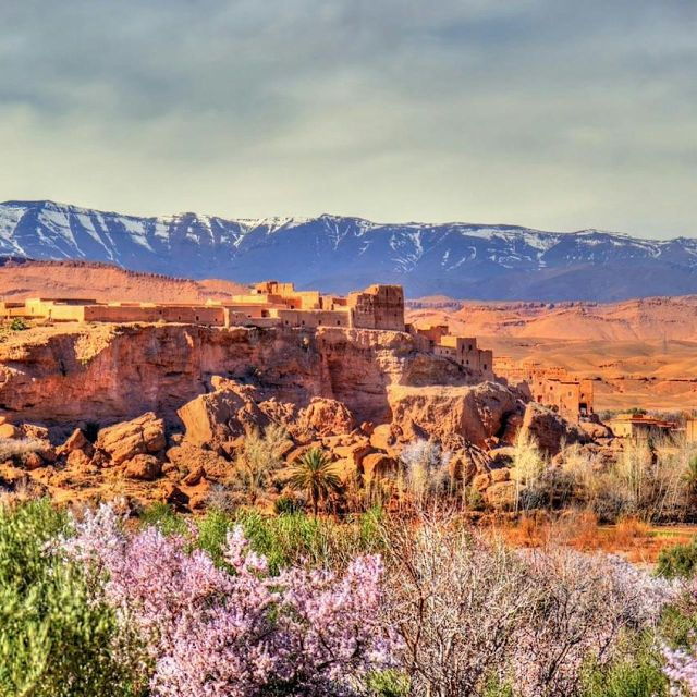 Marrakech: Atlas Mountain, 3 Berber Valleys, & Agafay Desert - Tour Highlights in Marrakech