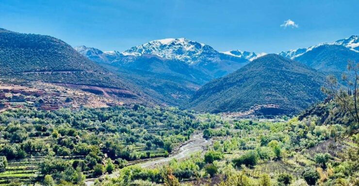 Marrakech: Atlas Mountain, Berber Villages, & Agafay Desert - Reviews Summary