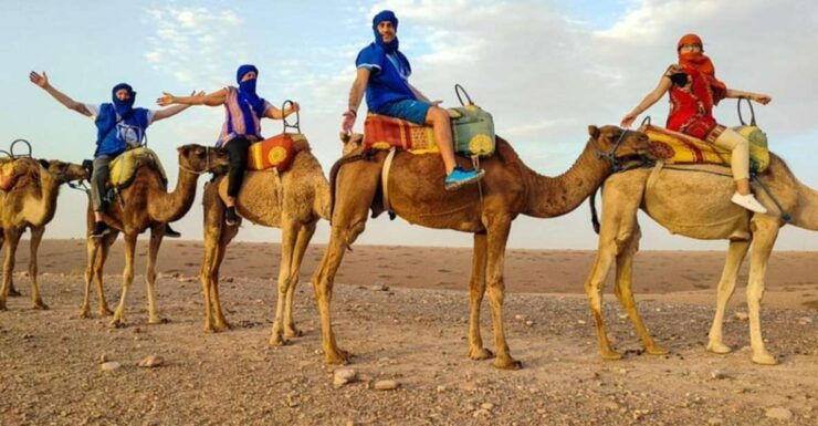 Marrakech: Atlas Mountains & Agafay Desert Guided Tour - Activity Details