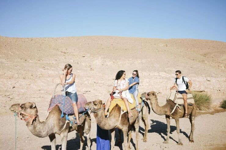 Marrakech: Atlas Mountains, Agafay Desert, Lunch, Camel Ride - Activity Details