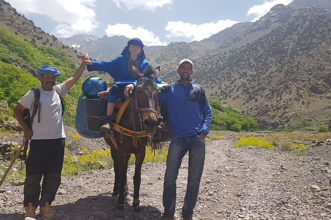 Marrakech Atlas Mountains Day Trip to Three Valleys With Lunch - Pickup and Drop-off Information