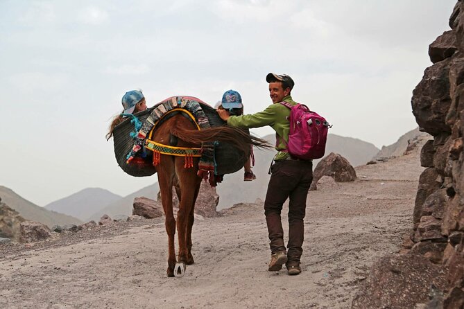 Marrakech Atlas Mountains Day Trip to Three Valleys With Lunch - Customer Reviews