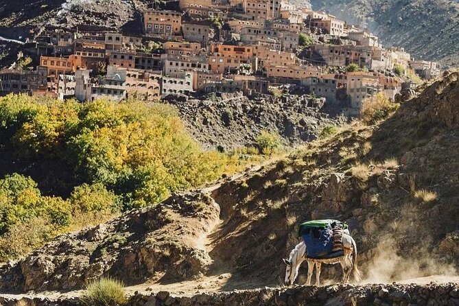 Marrakech: Atlas Mountains Day Trip With Camel Ride - Experiencing a Camel Ride in the Mountains