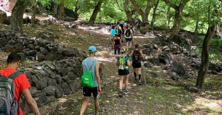 Marrakech: Atlas Mountains Waterfalls and Berber Village - Activity Details