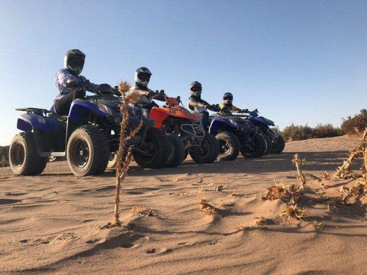 Marrakech : ATV Quad Biking Tours in Desert and Palm Grove - Pickup and Itinerary Flexibility