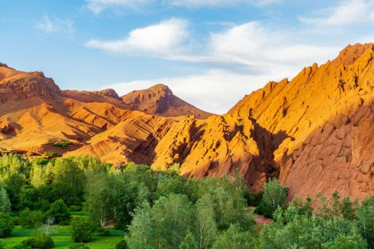 Marrakech: Berber Culture Experience & Atlas Mountains Tour - Tour Details