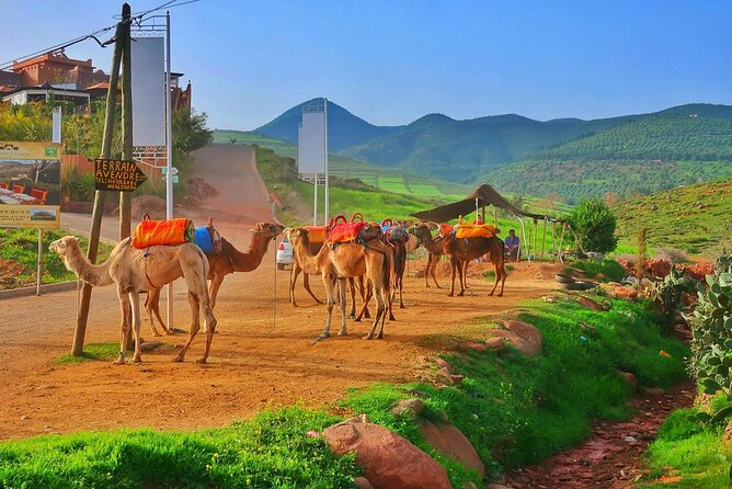 Marrakech: Best Cultural Day Trip Berber Villages & Atlas Mountains & Waterfalls - Tour Highlights