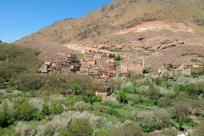 Marrakech: Best Cultural Day Trip Berber Villages & Atlas Mountains & Waterfalls - Pricing Details