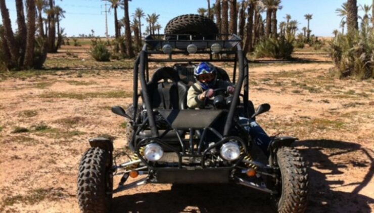 Marrakech: Buggy Desert Drive In the Palm Groves - Experiences