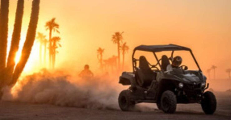 Marrakech: Buggy Drive in the Palm Groves - Activity Details
