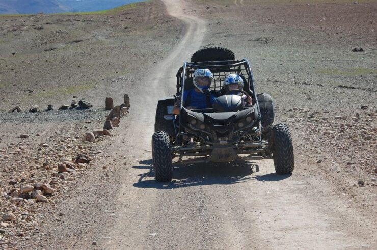 Marrakech: Buggy Drive in the Palm Groves - Activity Highlights