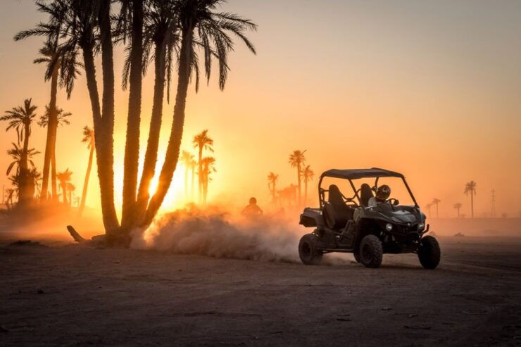 Marrakech: Buggy Ride in the Palm Groves - Booking Details