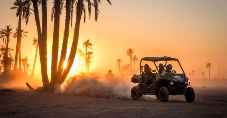 Marrakech: Buggy Ride in the Palm Groves - Unforgettable Buggy Ride Experience